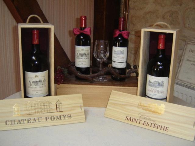 Chateau Pomys