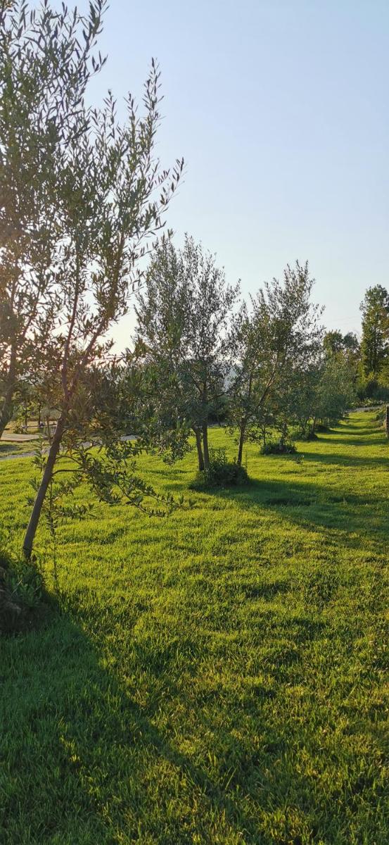 Chimera Tuscany Resort