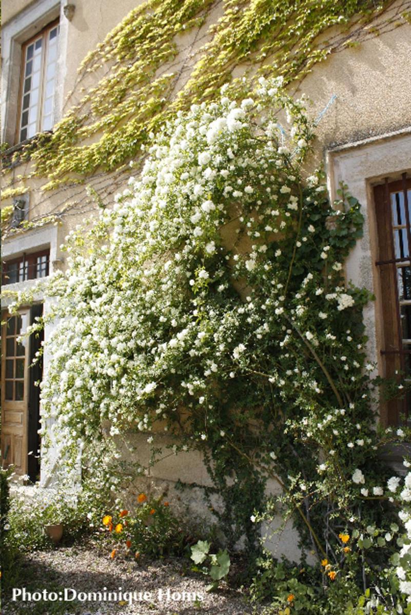 Château de Bessonies