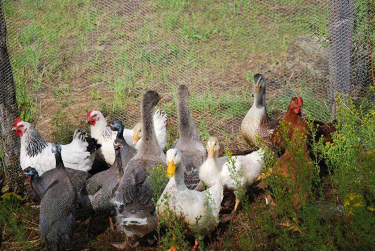 Château de Bessonies