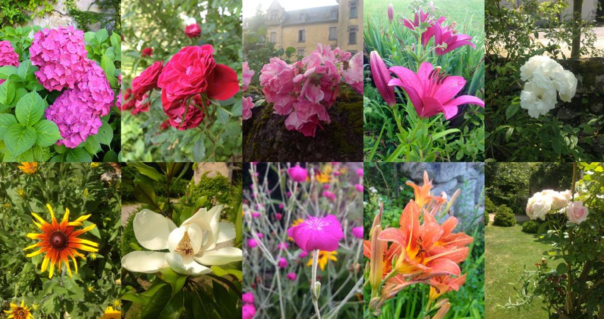 Château de Bessonies