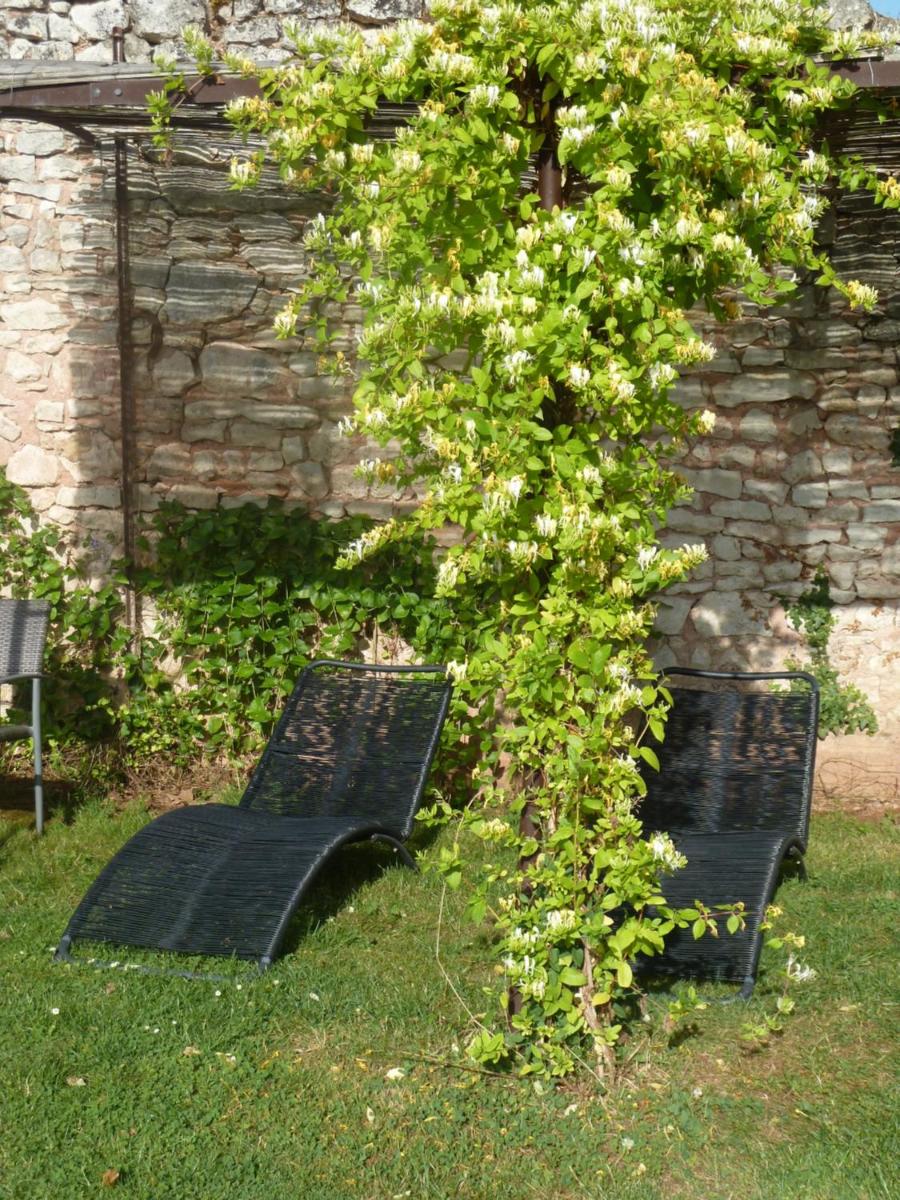 Château de Clusors