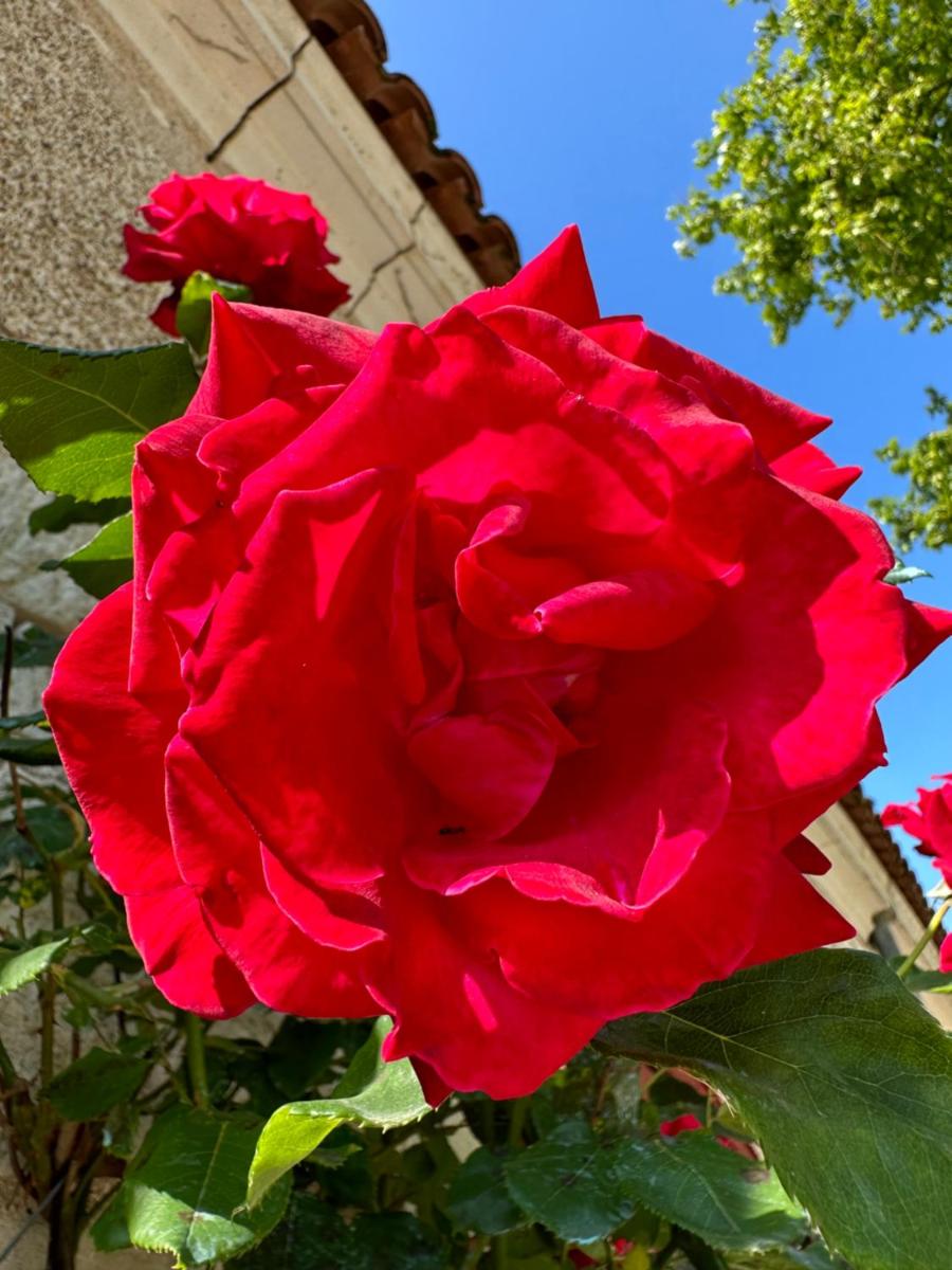 Hôtel & SPA Château de La Côte - Brantôme