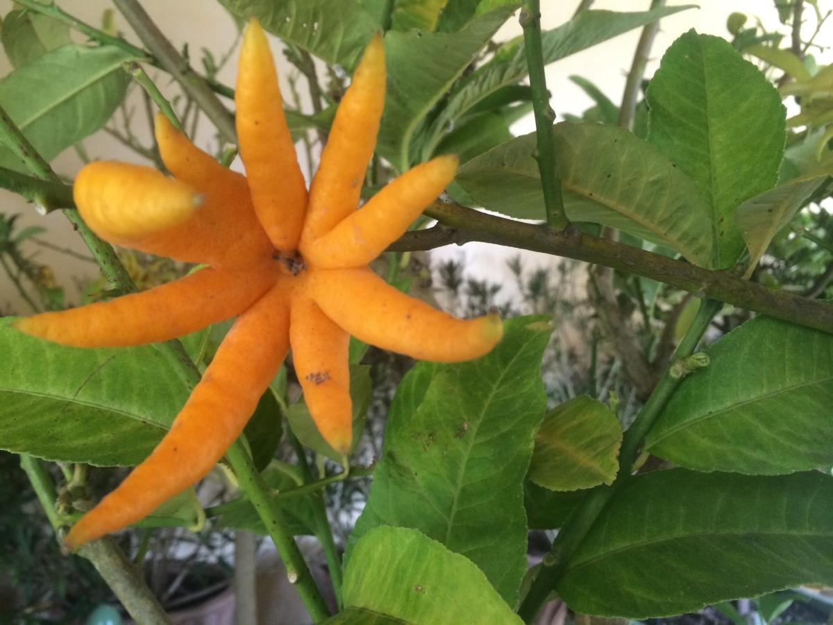Château de Saint Loup