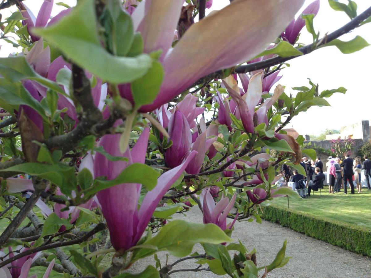 Château de Saint Loup