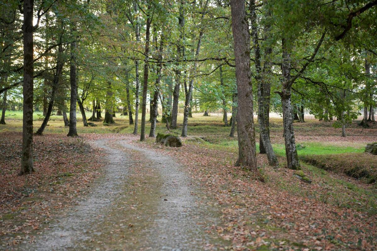 Château de Vault de Lugny