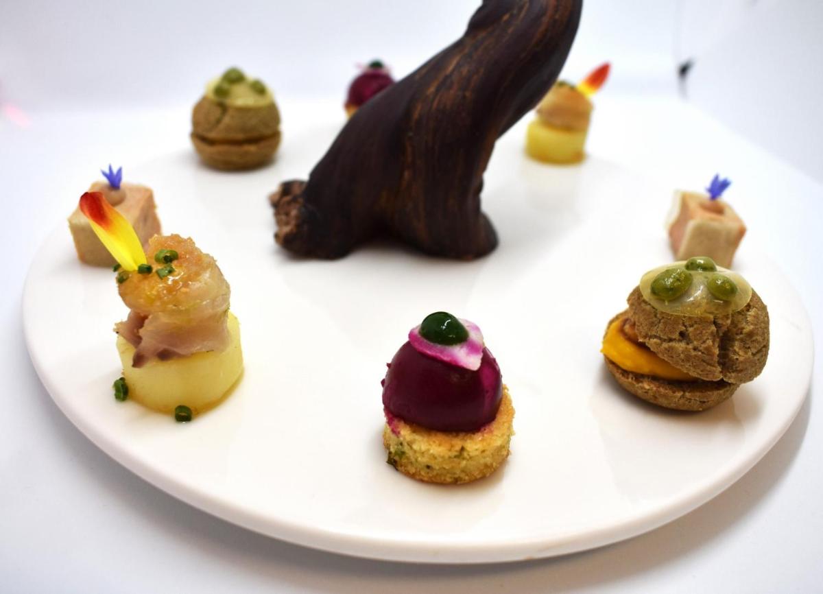 Château des Vigiers