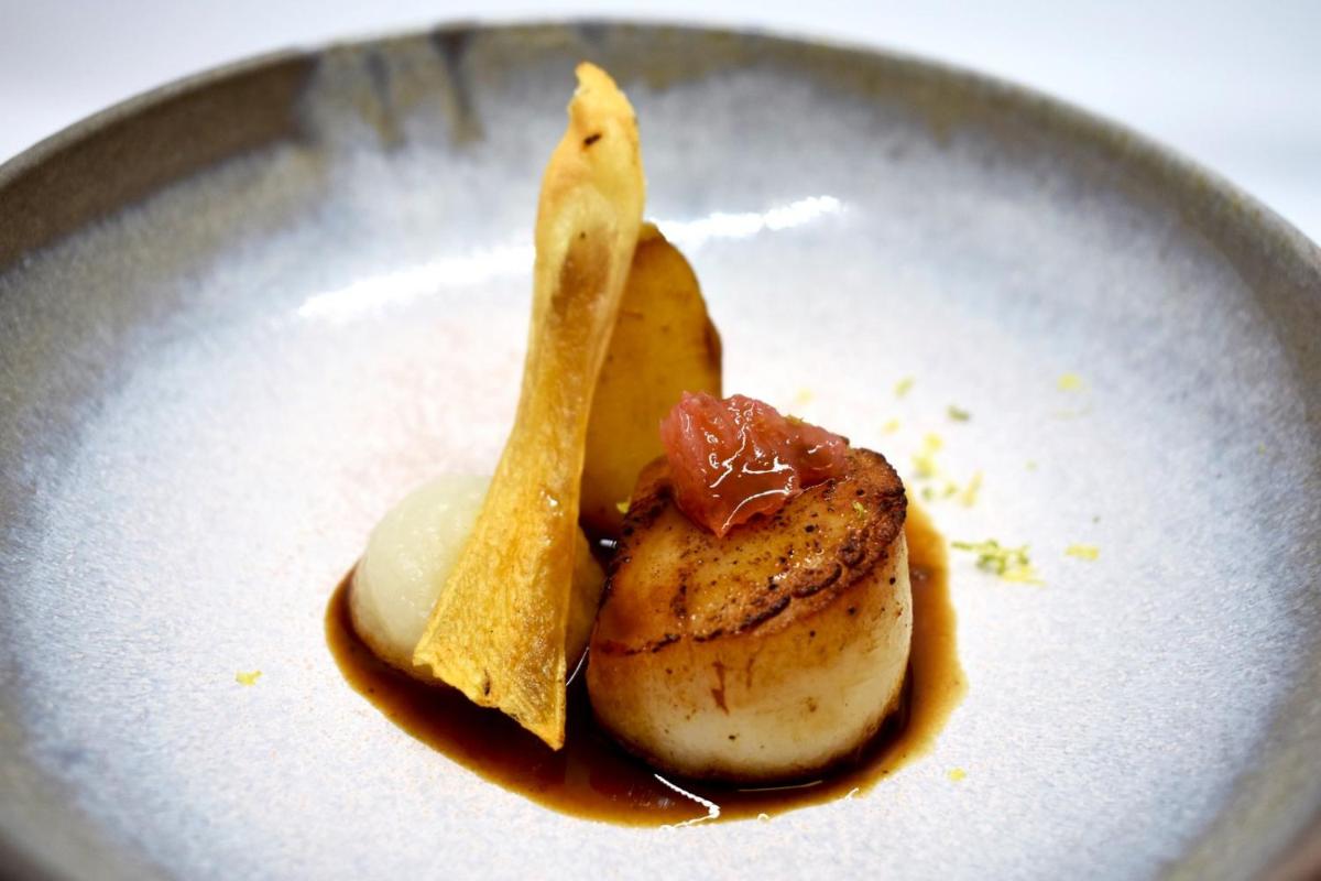 Château des Vigiers