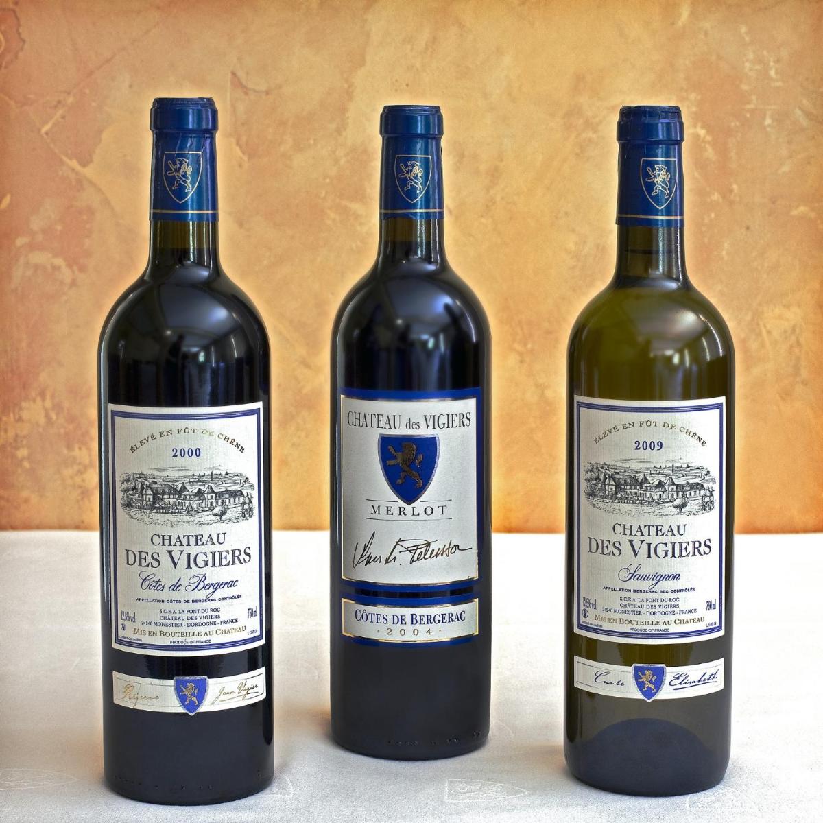 Château des Vigiers