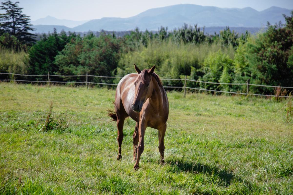 Château du Clair de Lune - Boutique Luxury Hotel