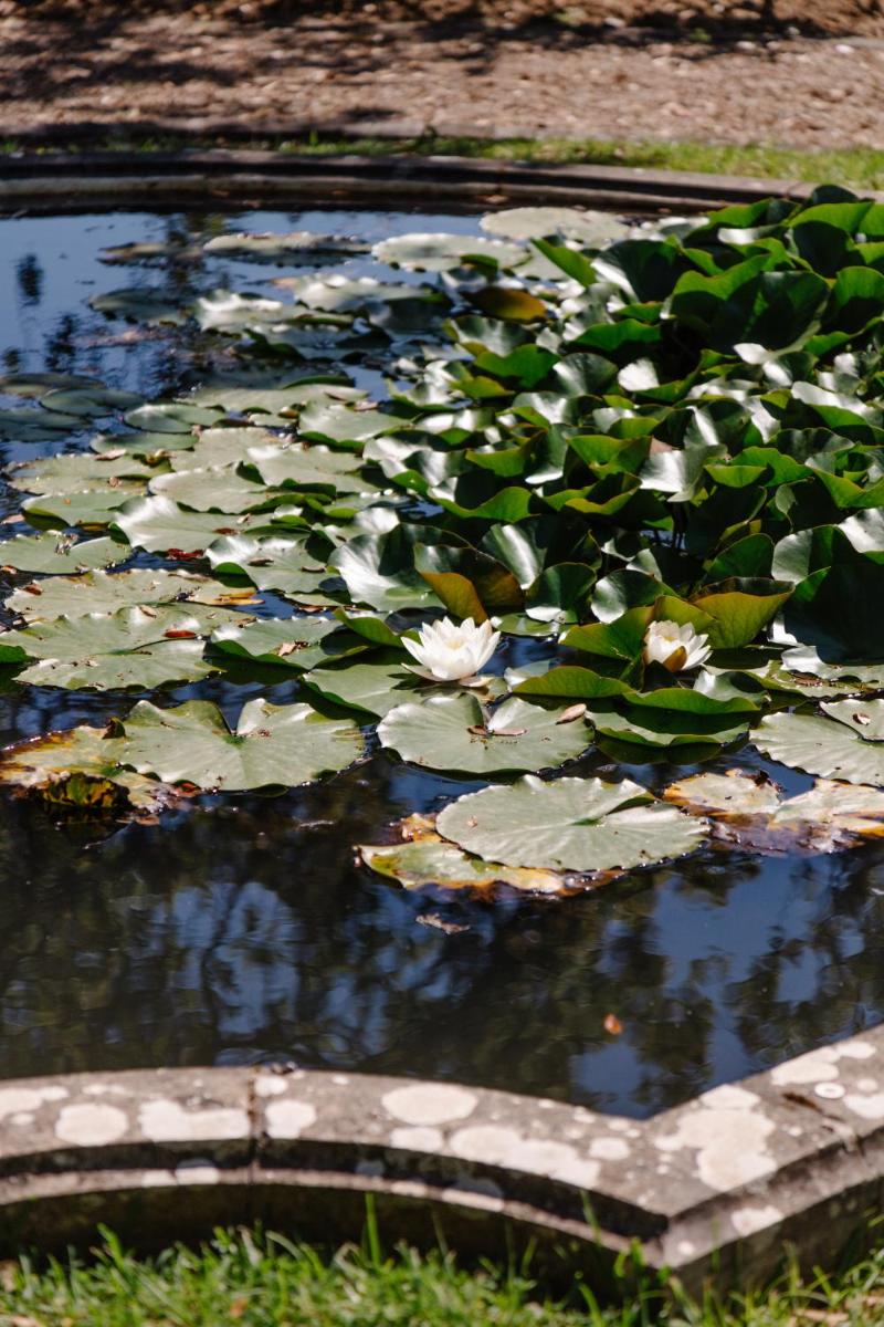 Château du Clair de Lune - Boutique Luxury Hotel