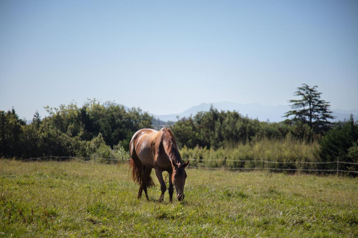 Château du Clair de Lune - Boutique Luxury Hotel