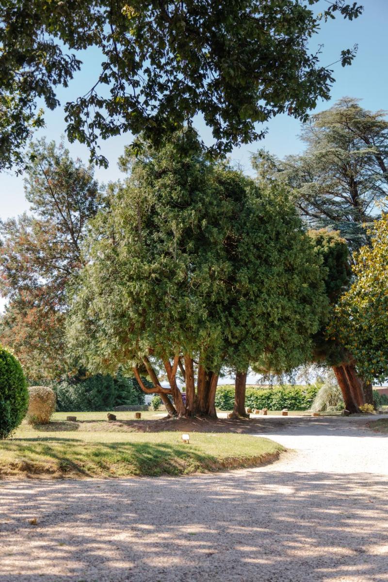 Château du Clair de Lune - Boutique Luxury Hotel