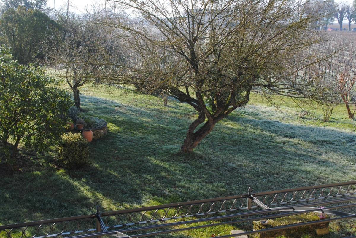 Château Franc Grâce-Dieu
