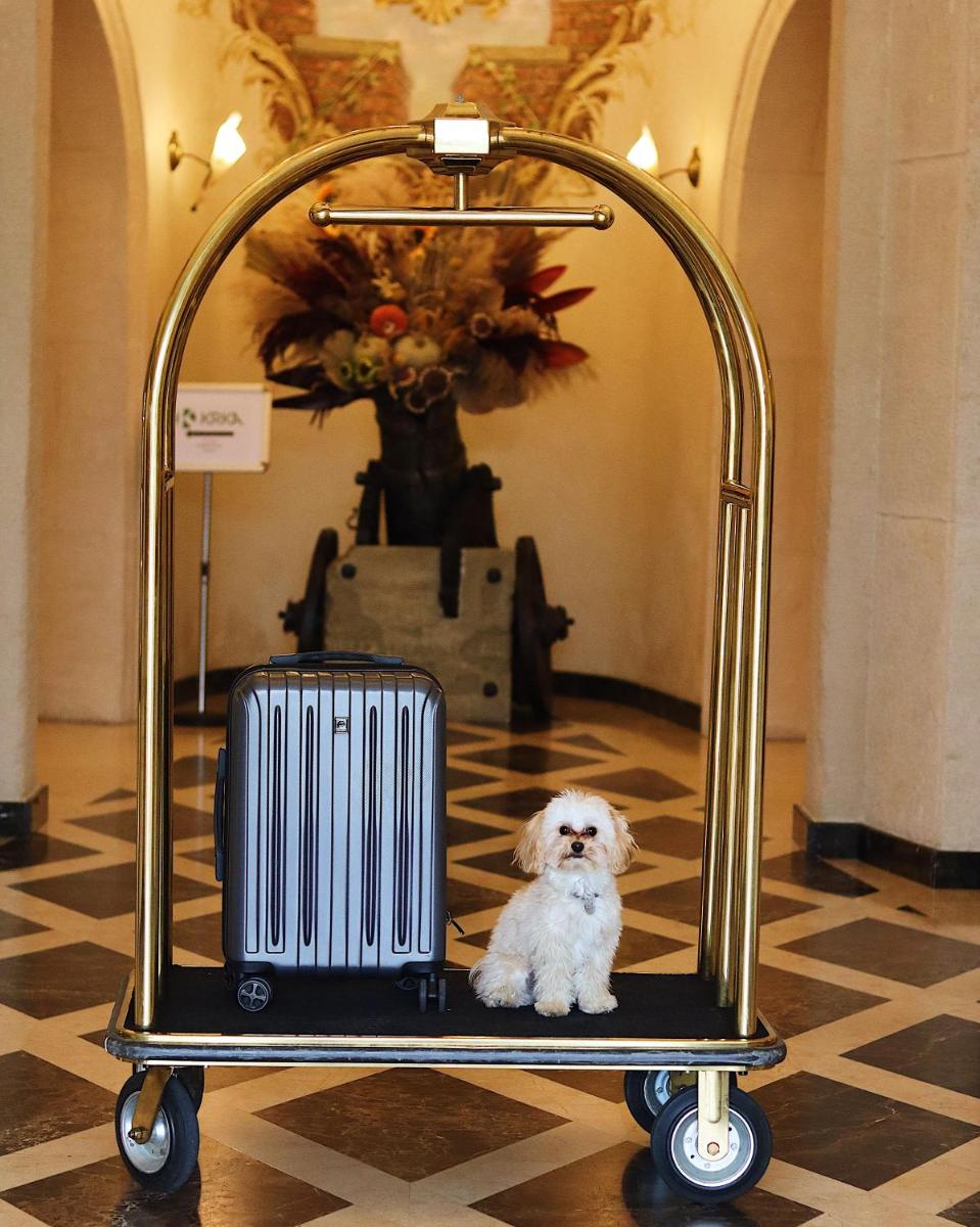 Citadel Inn Gastro Boutique Hotel - Готель Цитадель Львів