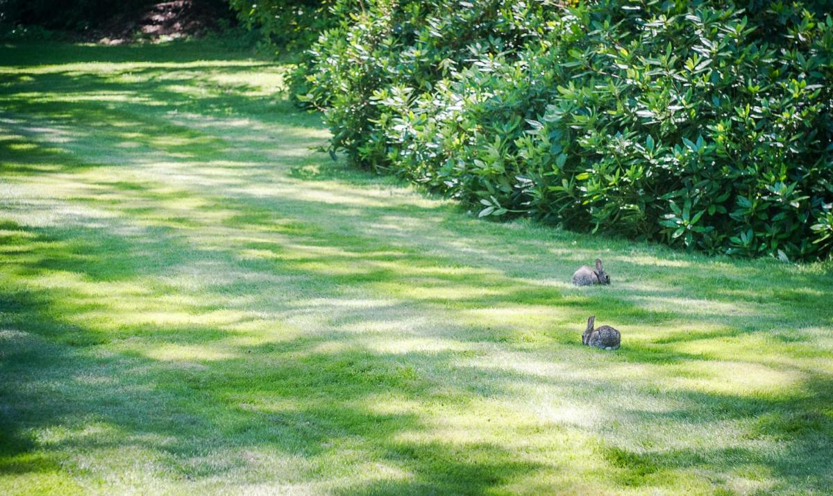 Claverton Country House Hotel