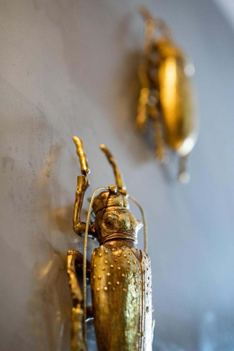 Colégio Charm House