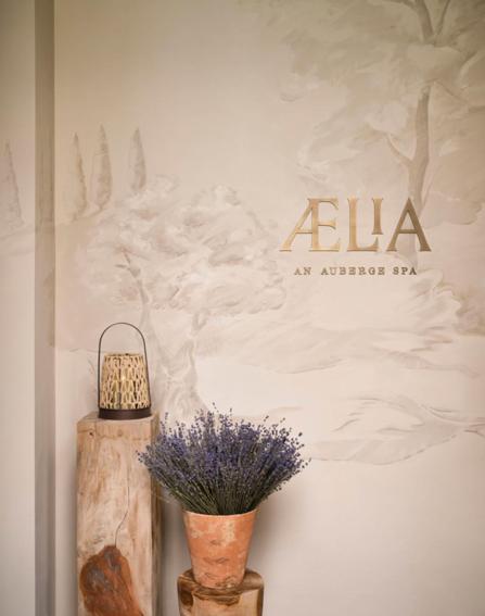 Collegio alla Querce, Auberge Collection