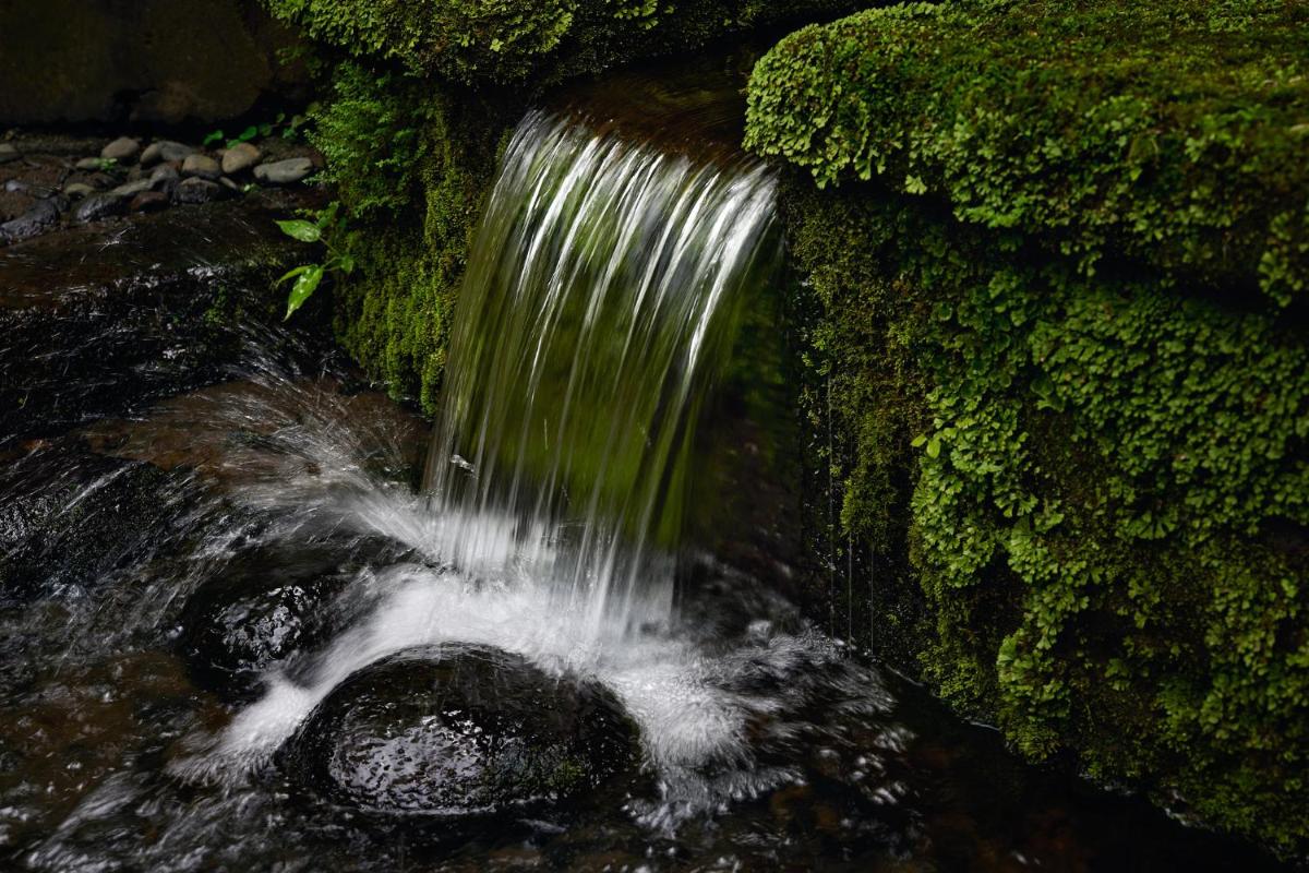 COMO Shambhala Estate