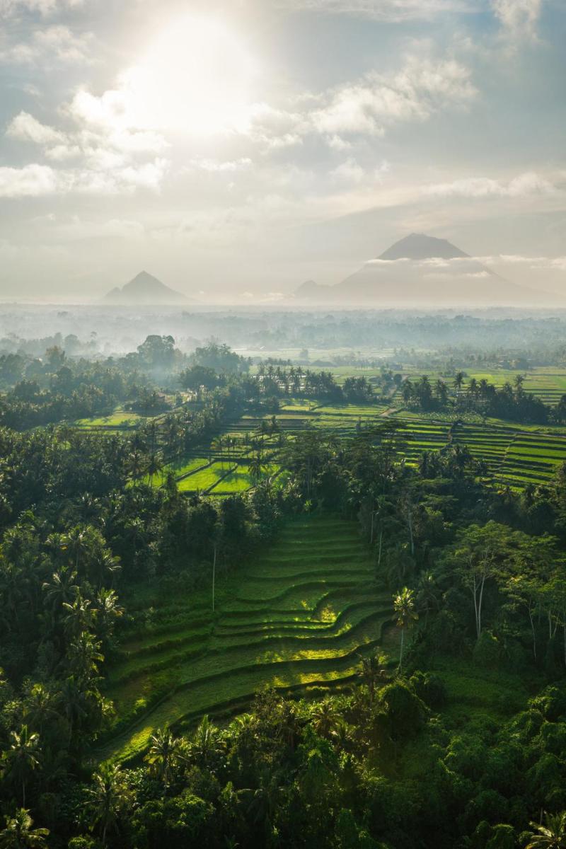 COMO Shambhala Estate