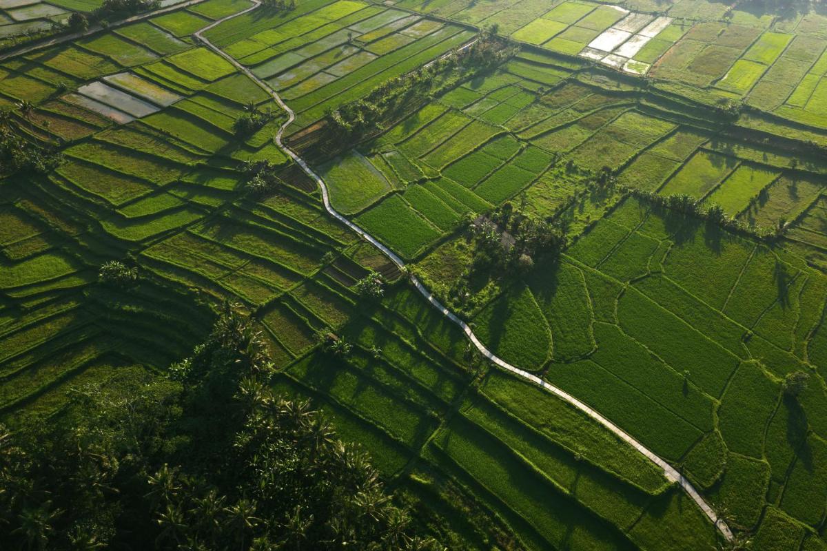 COMO Shambhala Estate