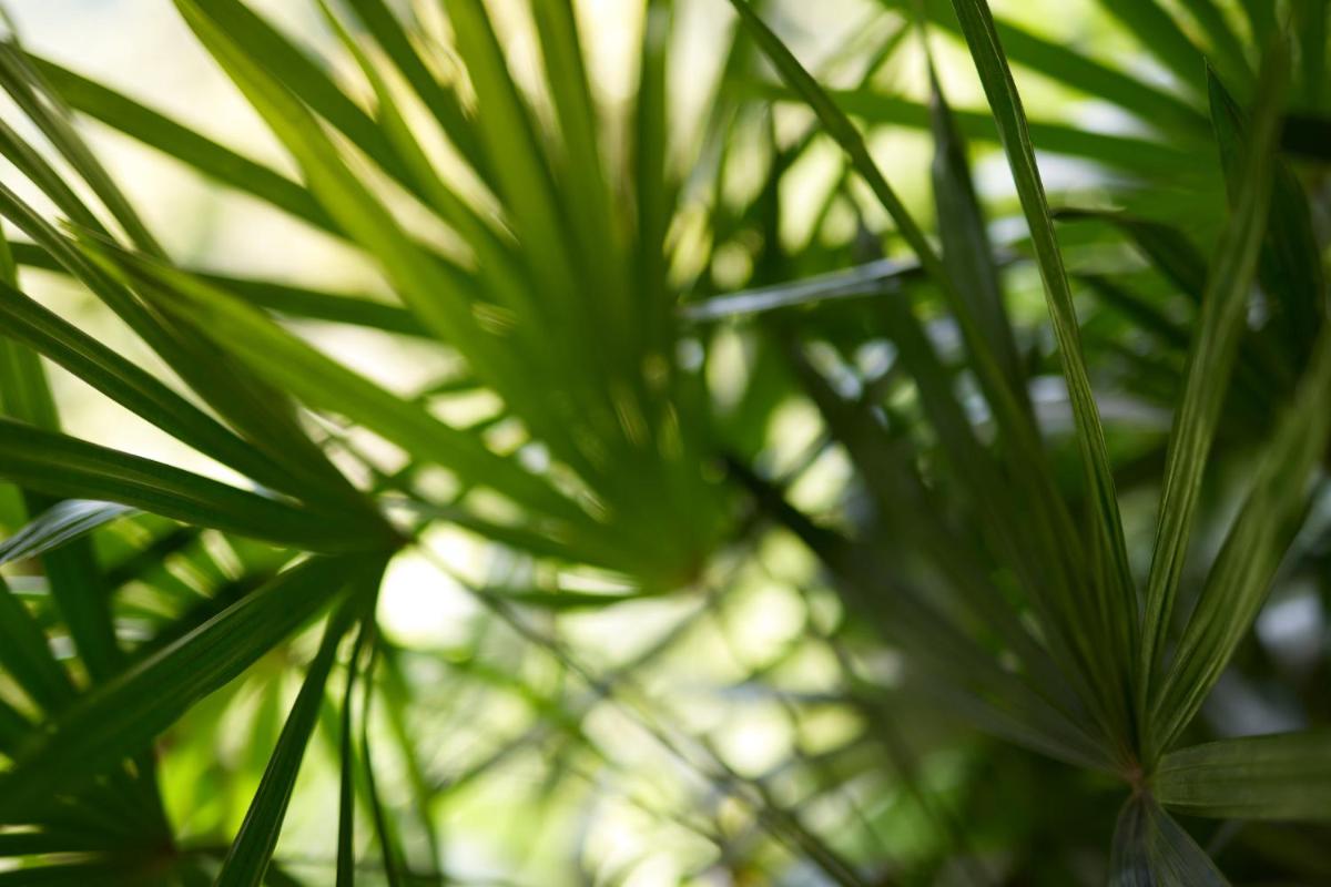 COMO Shambhala Estate