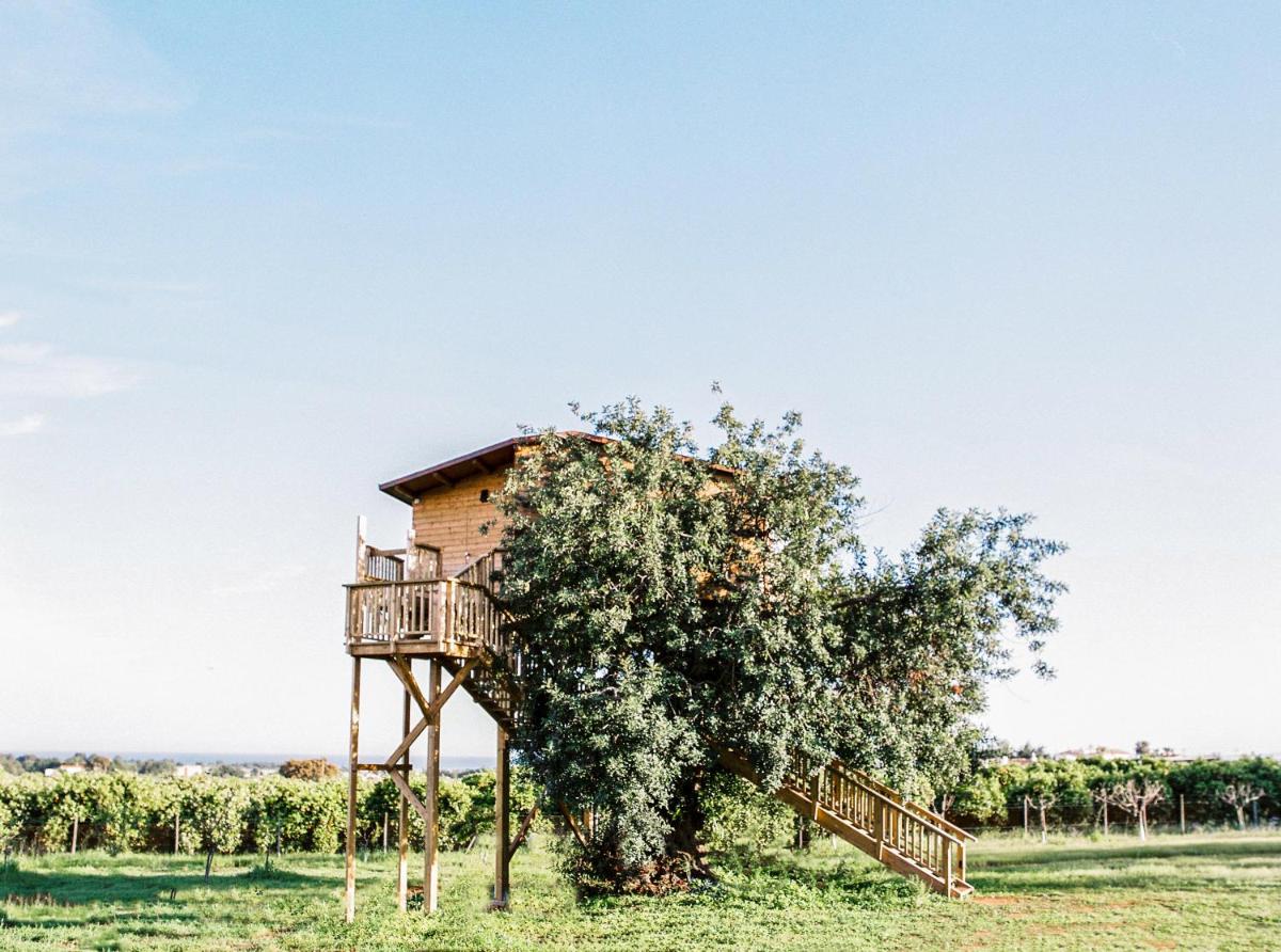 Conversas de Alpendre