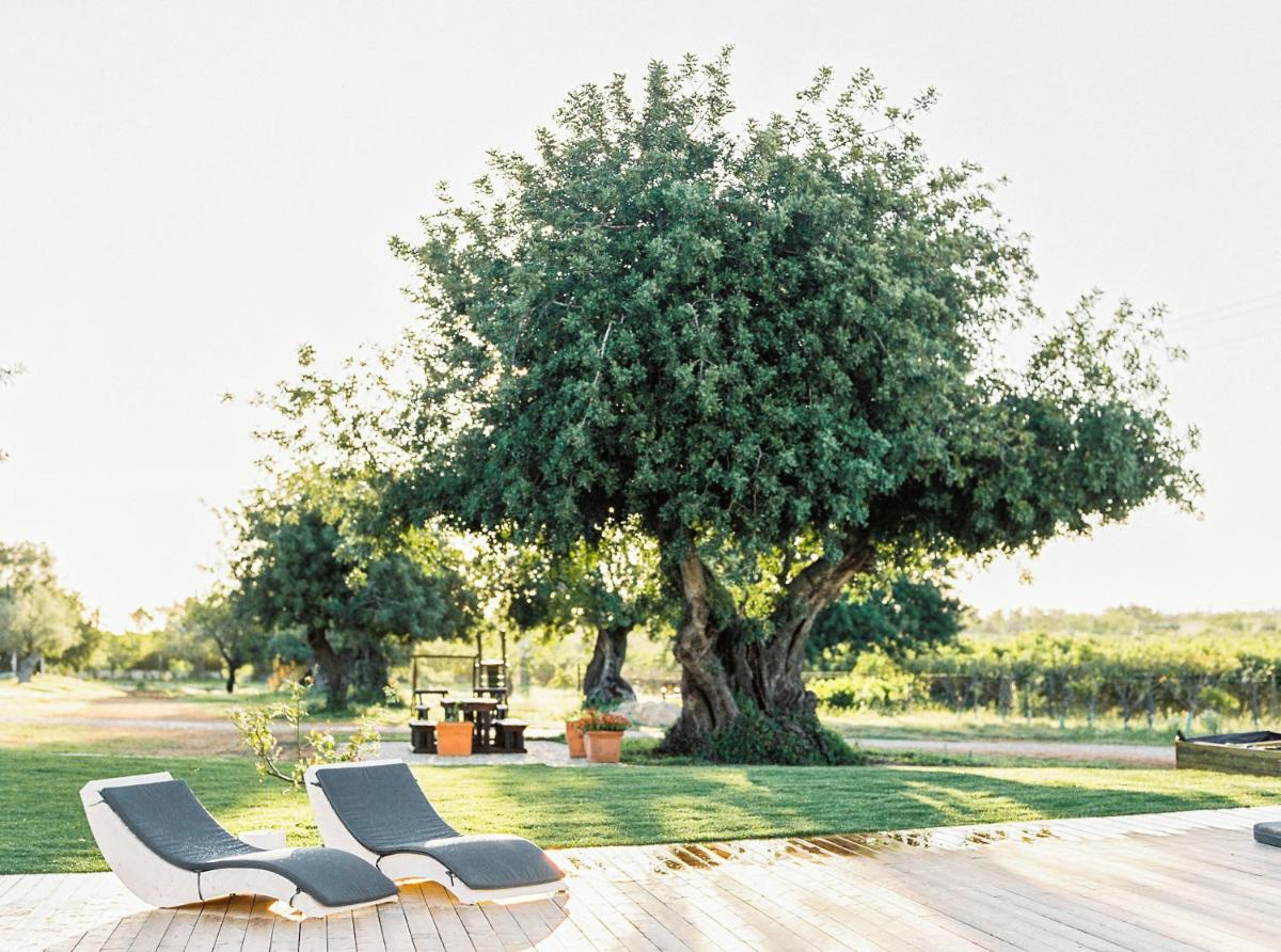 Conversas de Alpendre