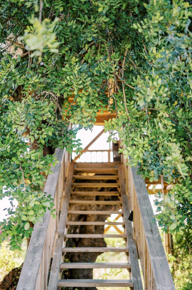 Conversas de Alpendre