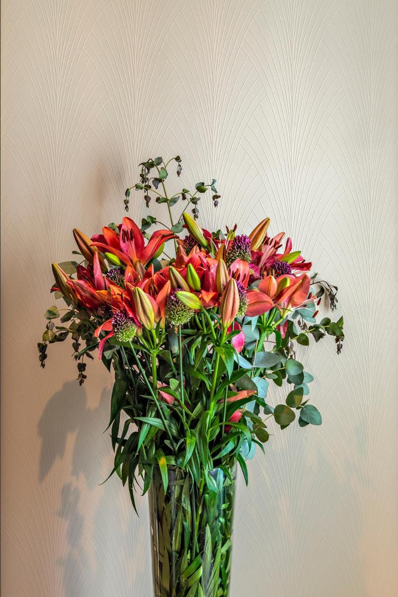 CoolRooms Palacio de Atocha