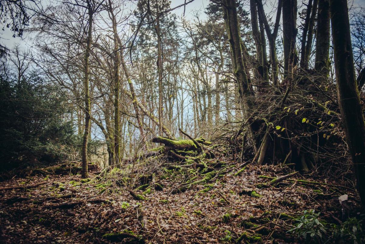 Cornhill Castle