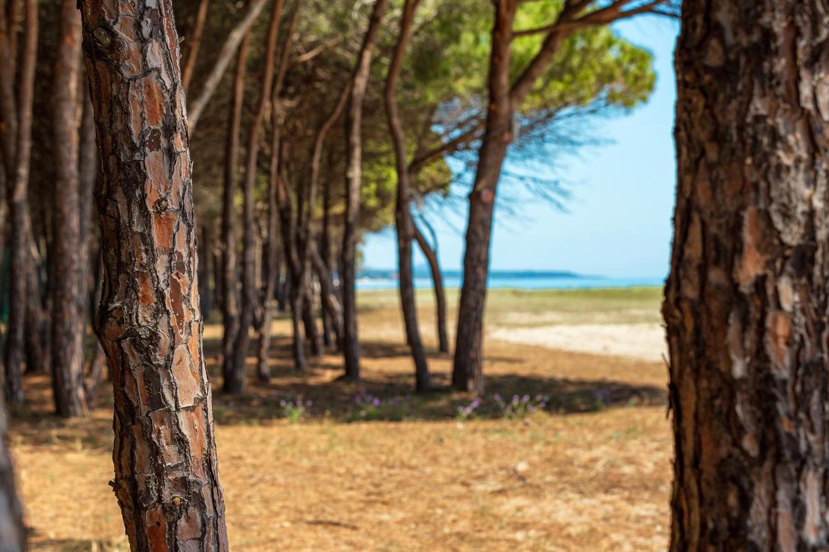 Corte Bianca - Adults Only & SPA - Bovis Hotels