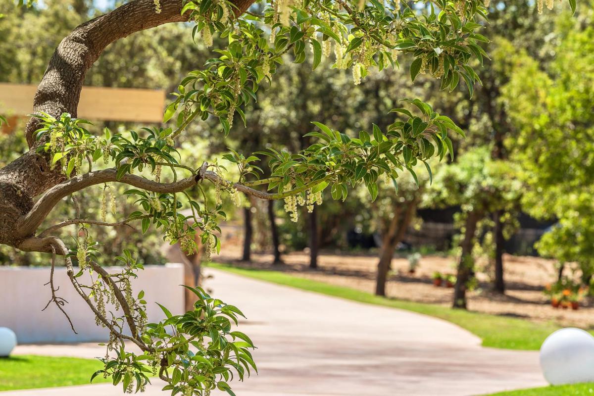 Corte Bianca - Adults Only & SPA - Bovis Hotels