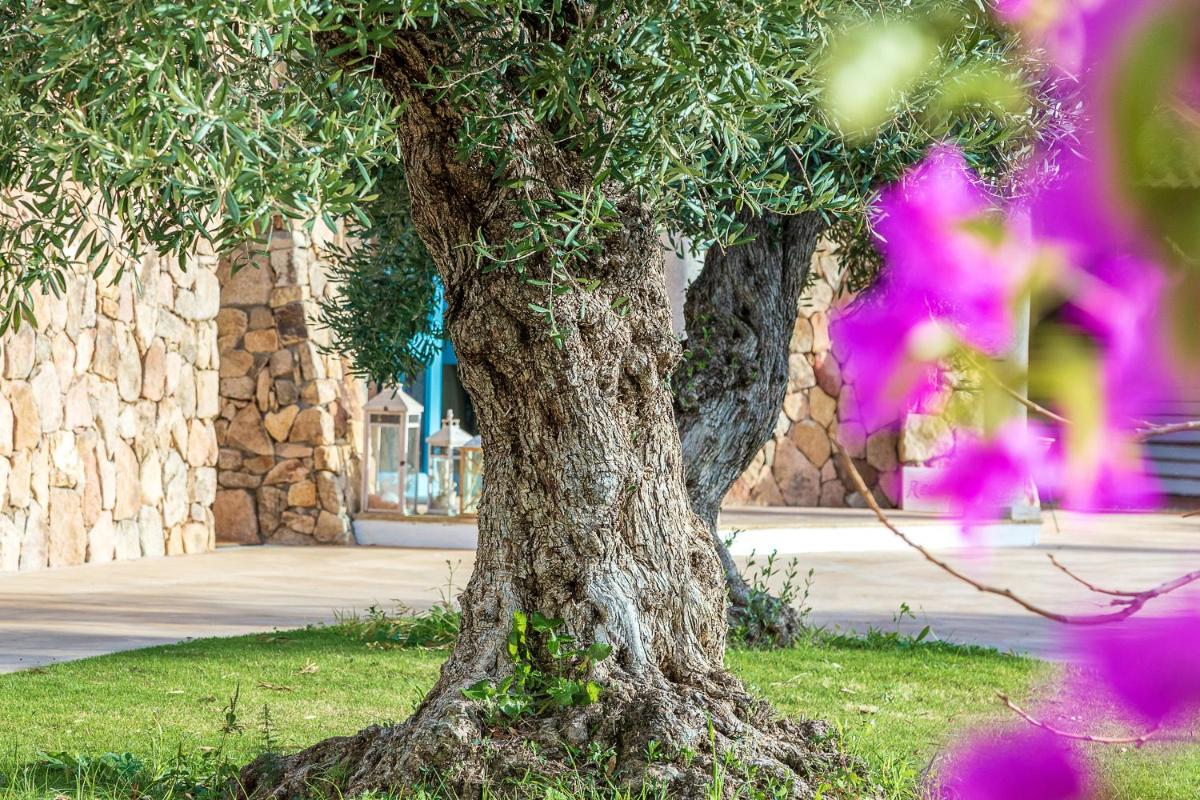 Corte Bianca - Adults Only & SPA - Bovis Hotels