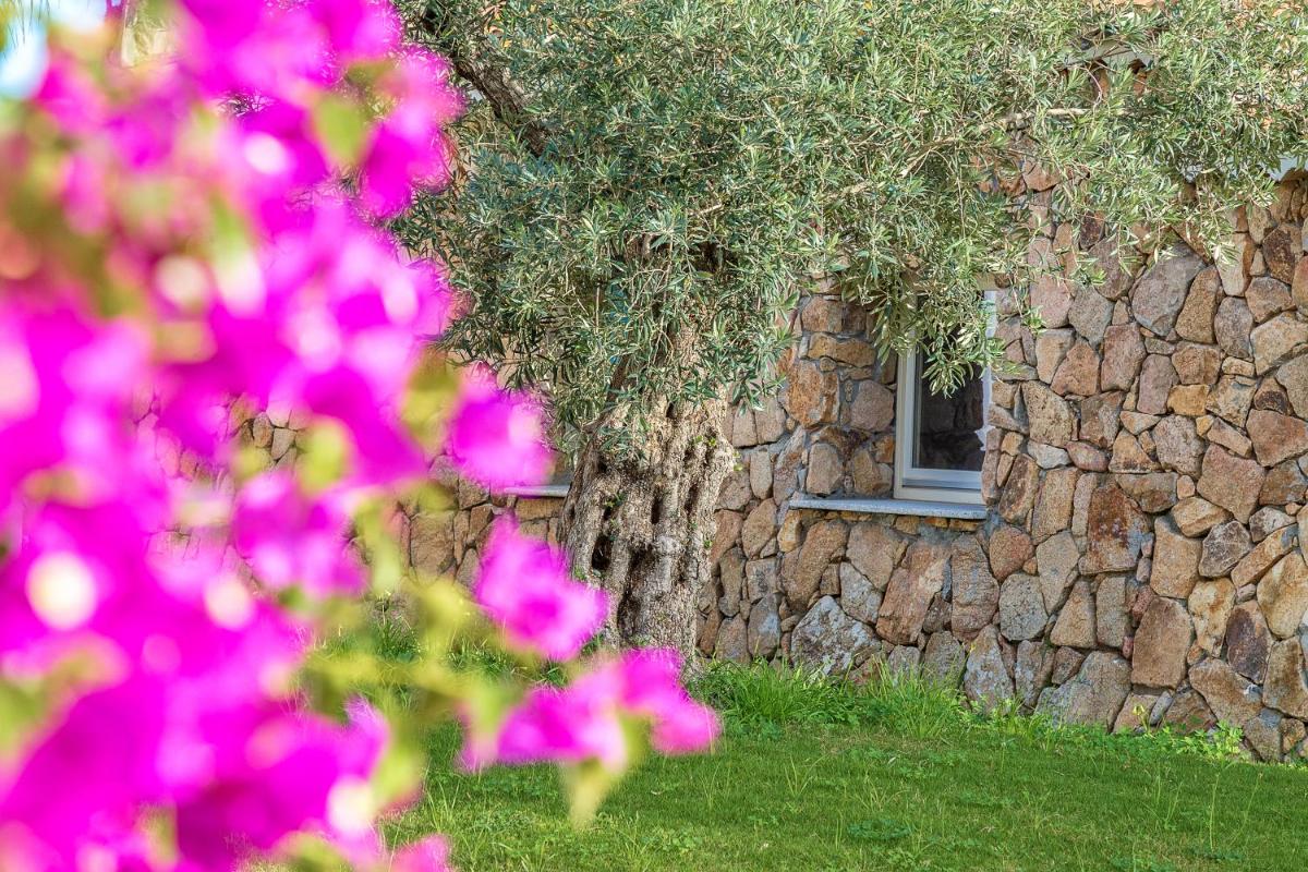 Corte Bianca - Adults Only & SPA - Bovis Hotels