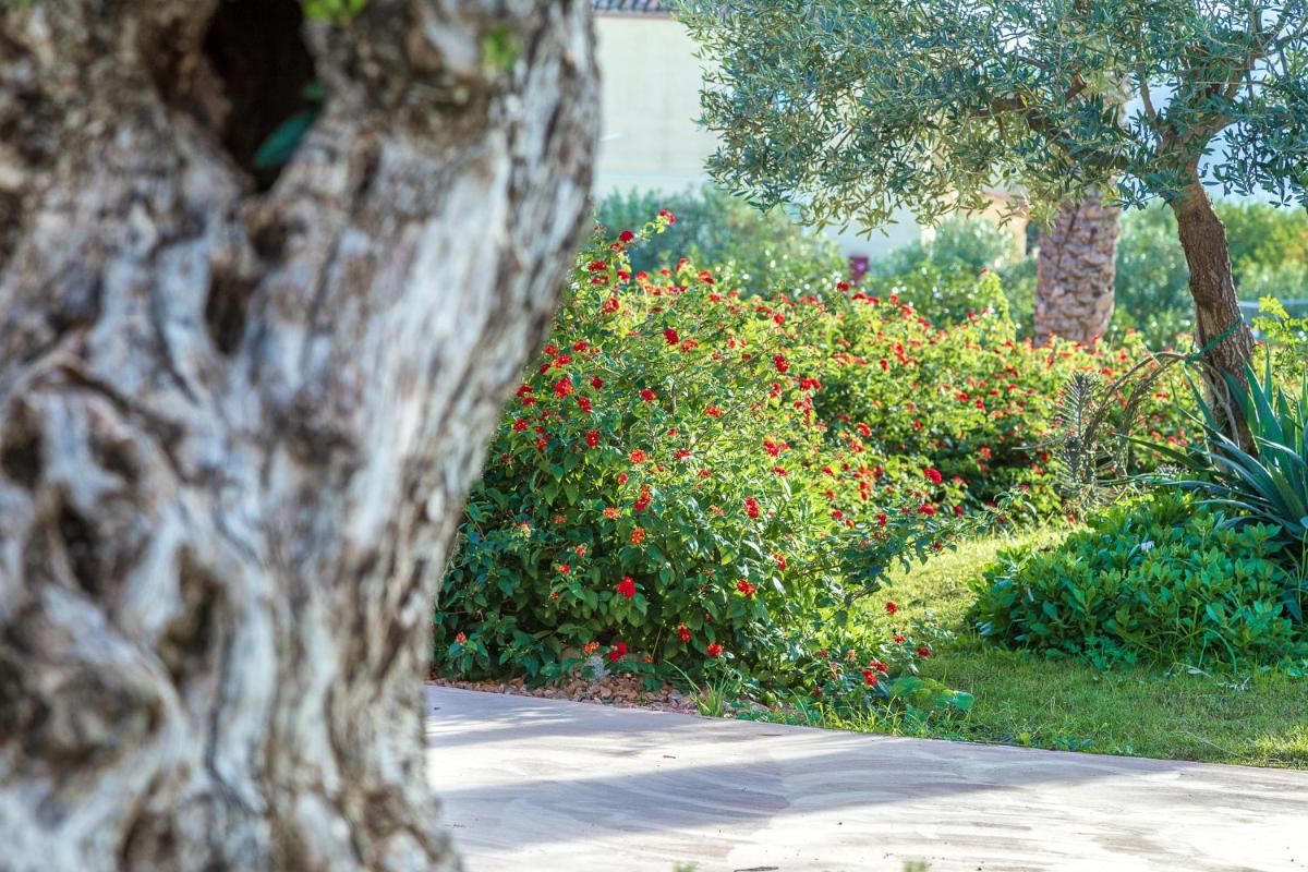 Corte Bianca - Adults Only & SPA - Bovis Hotels