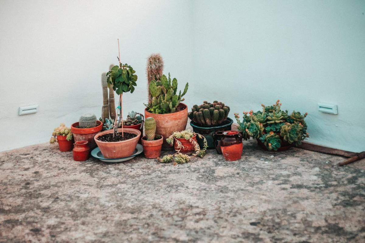 Corte Largo Lauro Dimore & Spa