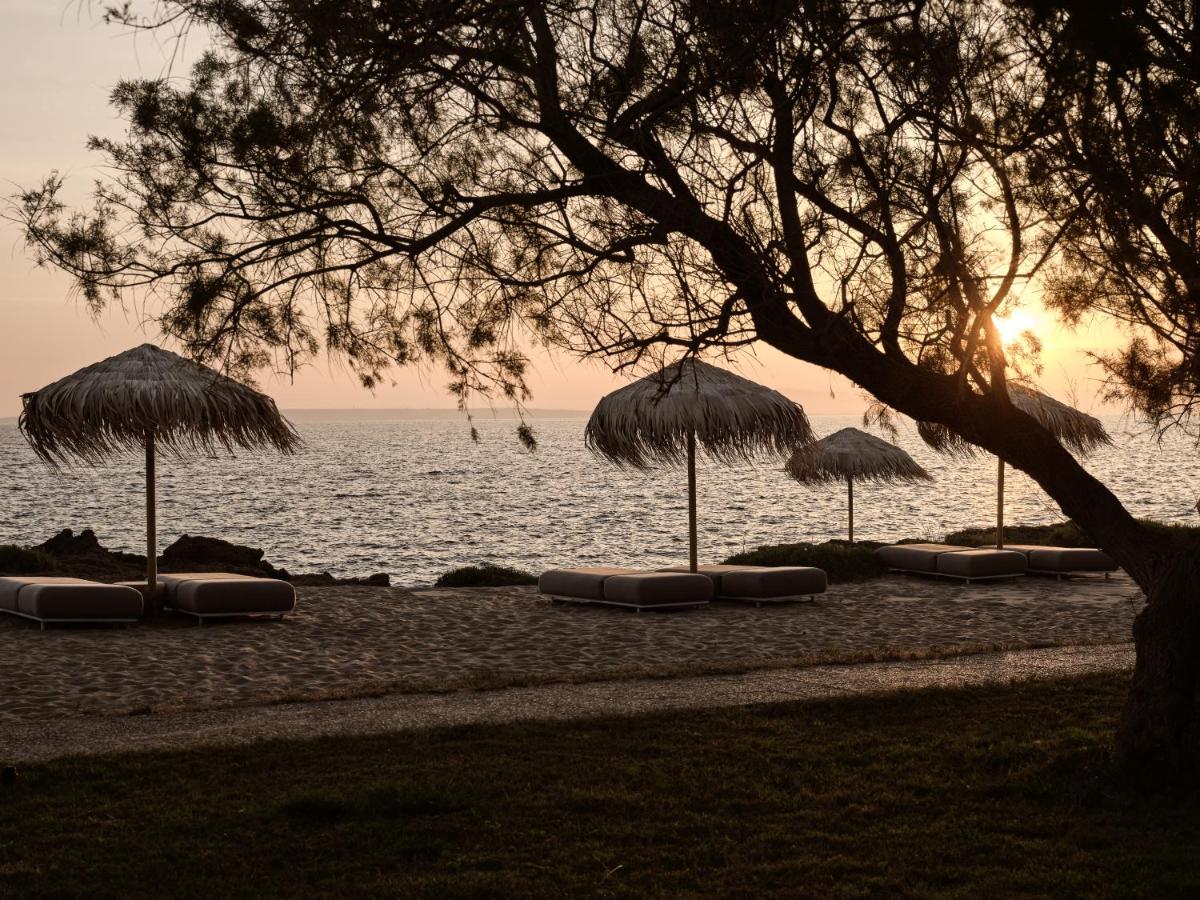 Cove Paros