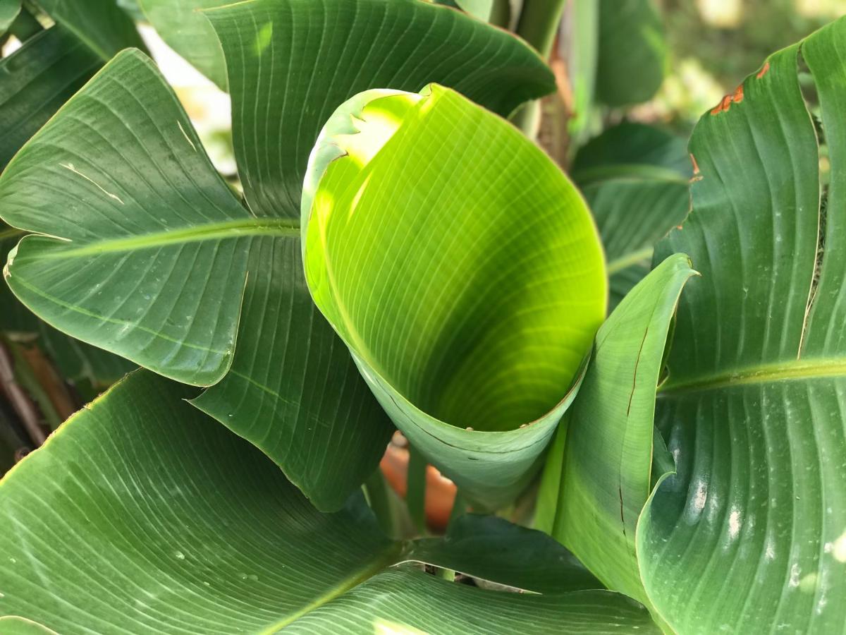 Creta Blue Boutique Hotel