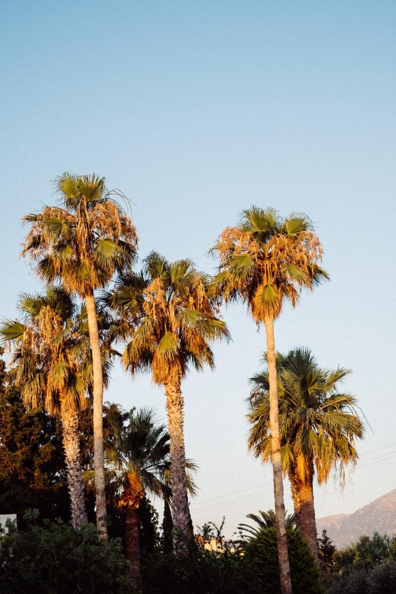 Phāea Cretan Malia, a Member of Design Hotels