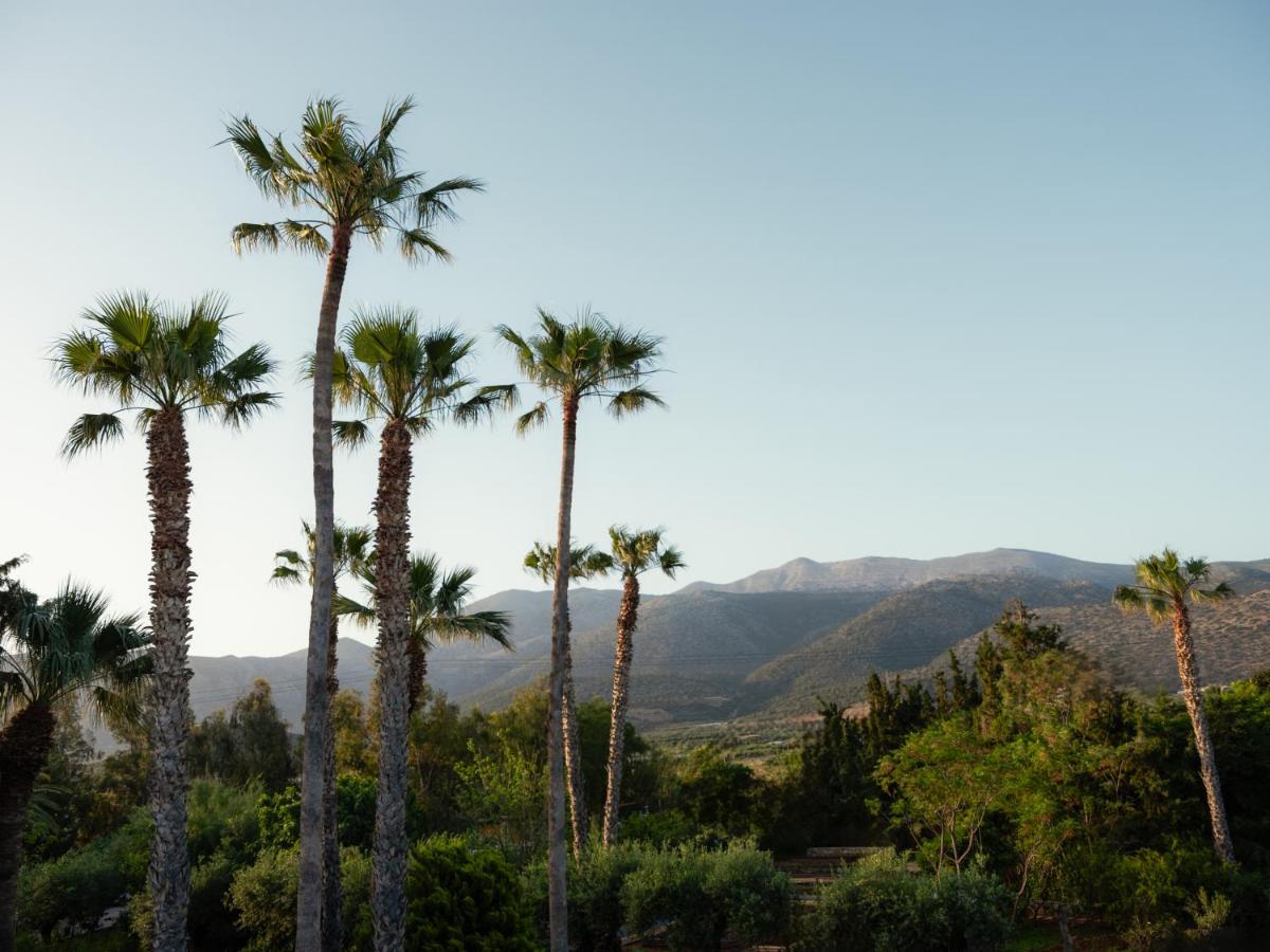 Phāea Cretan Malia, a Member of Design Hotels