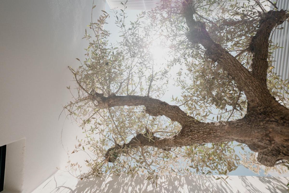 CUBIC Mykonos Seafront Design Suites