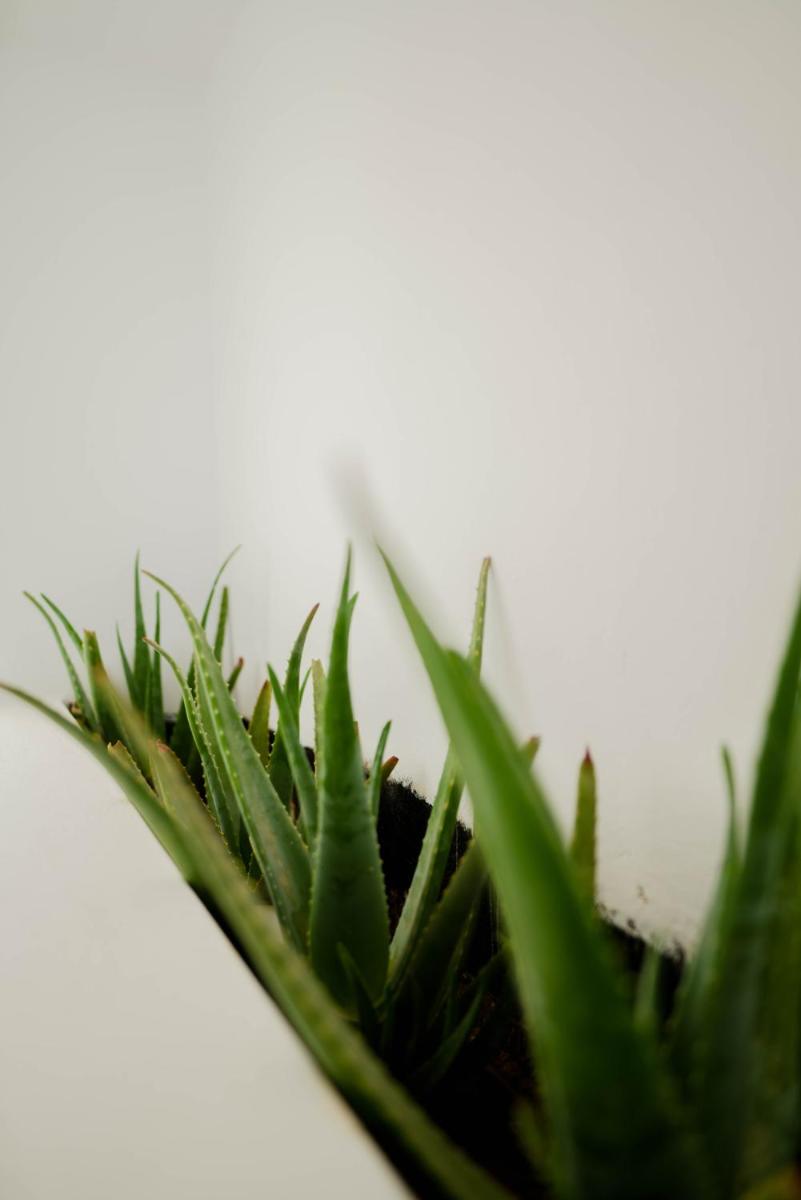 CUBIC Mykonos Seafront Design Suites