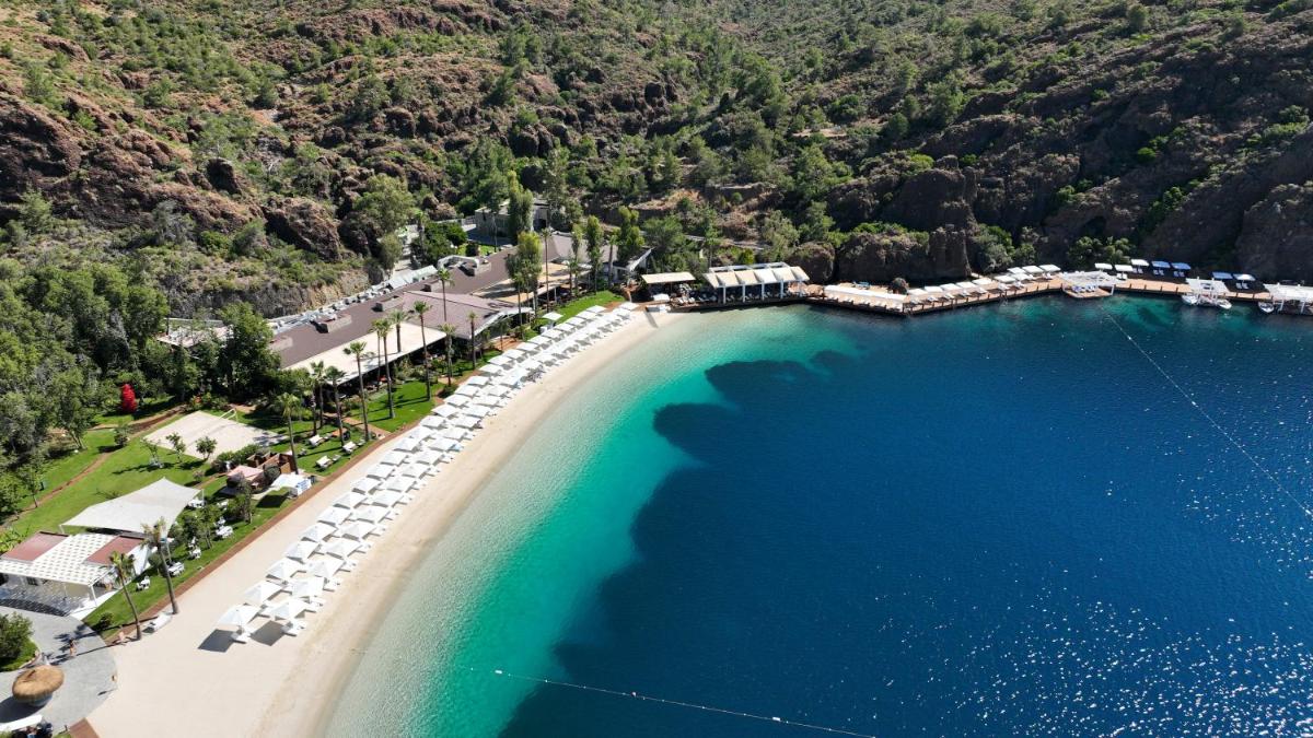 D Maris Bay
