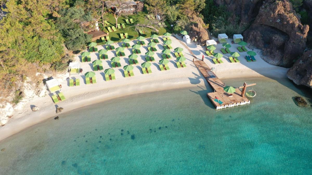 D Maris Bay