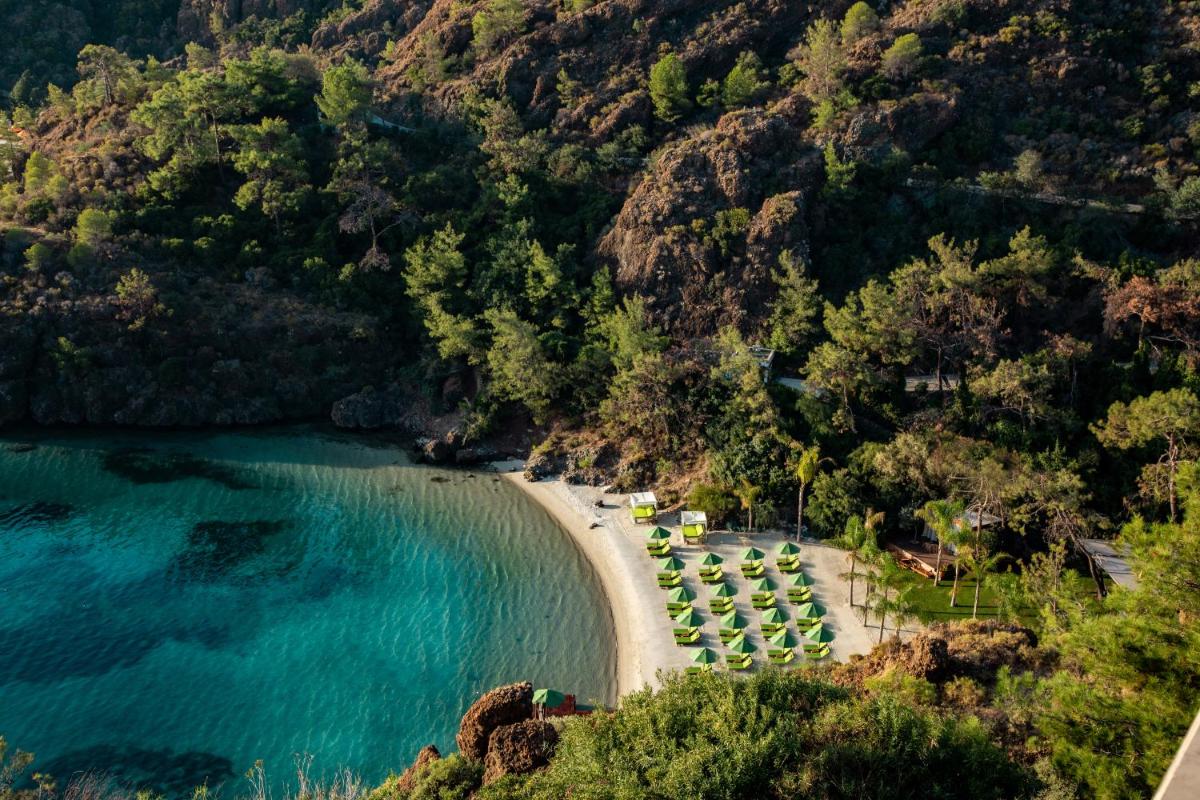 D Maris Bay