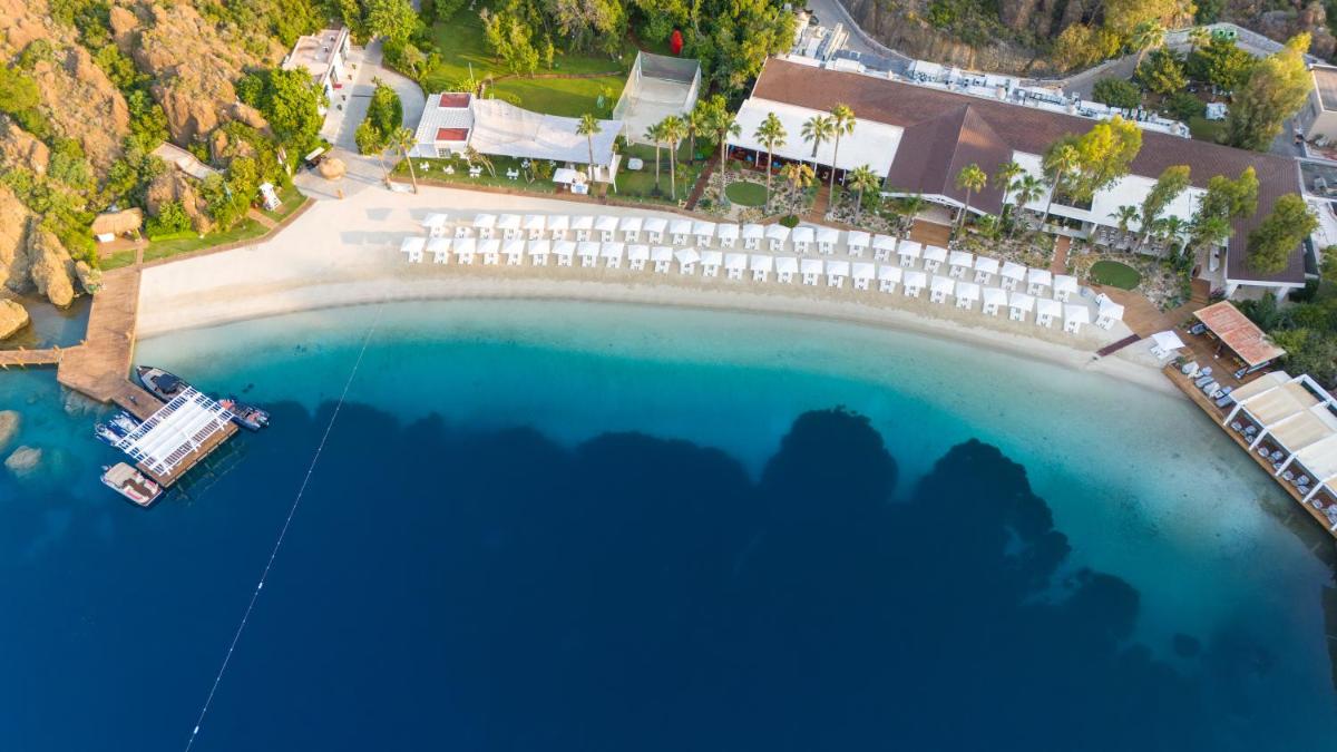 D Maris Bay