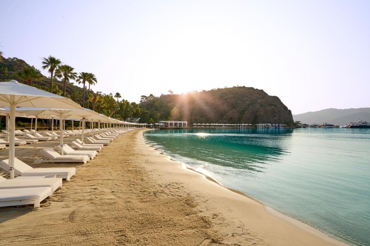 D Maris Bay