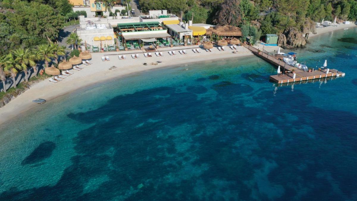 D Maris Bay