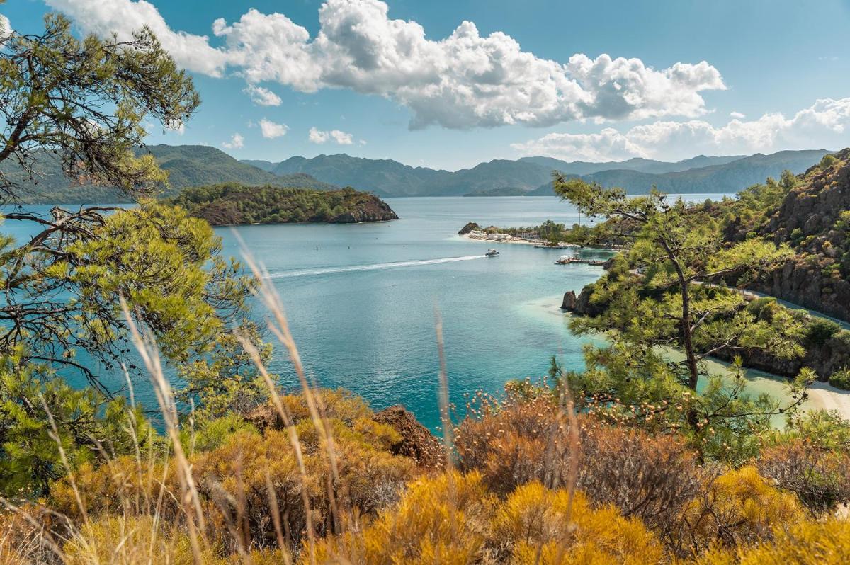 D Maris Bay